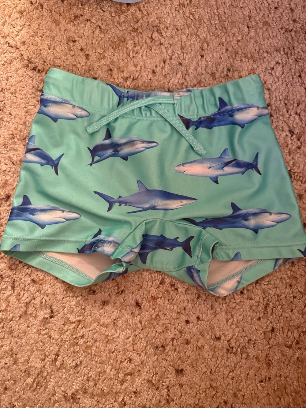 H&M Boys Aqua Swim Trunks with Blue Shark Print